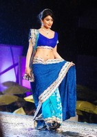 Shriya Saree Images